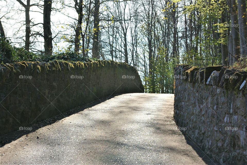 Scotland, Scottish Country Road