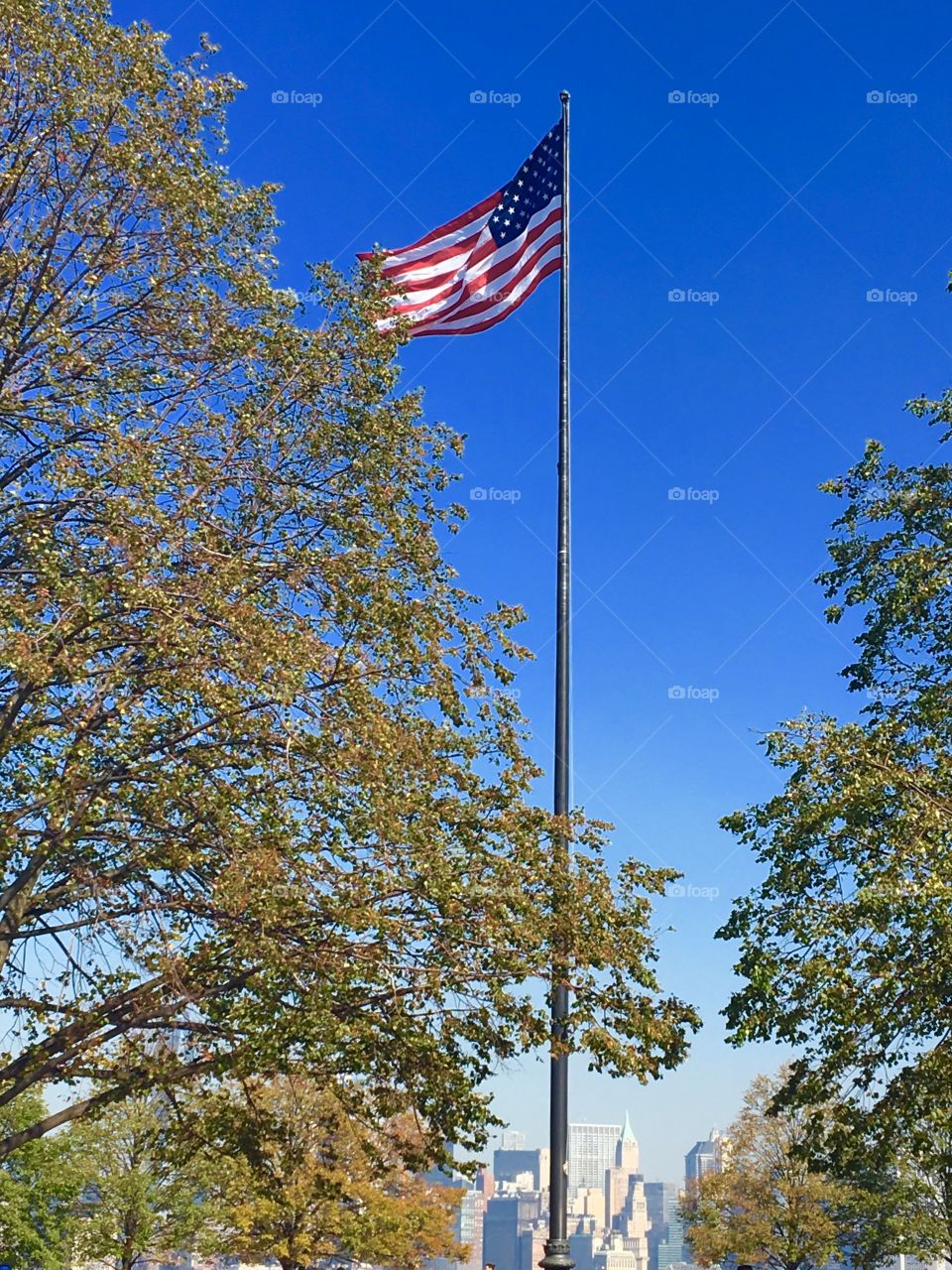Flag 