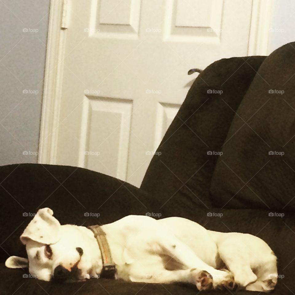 Posing for the camera 