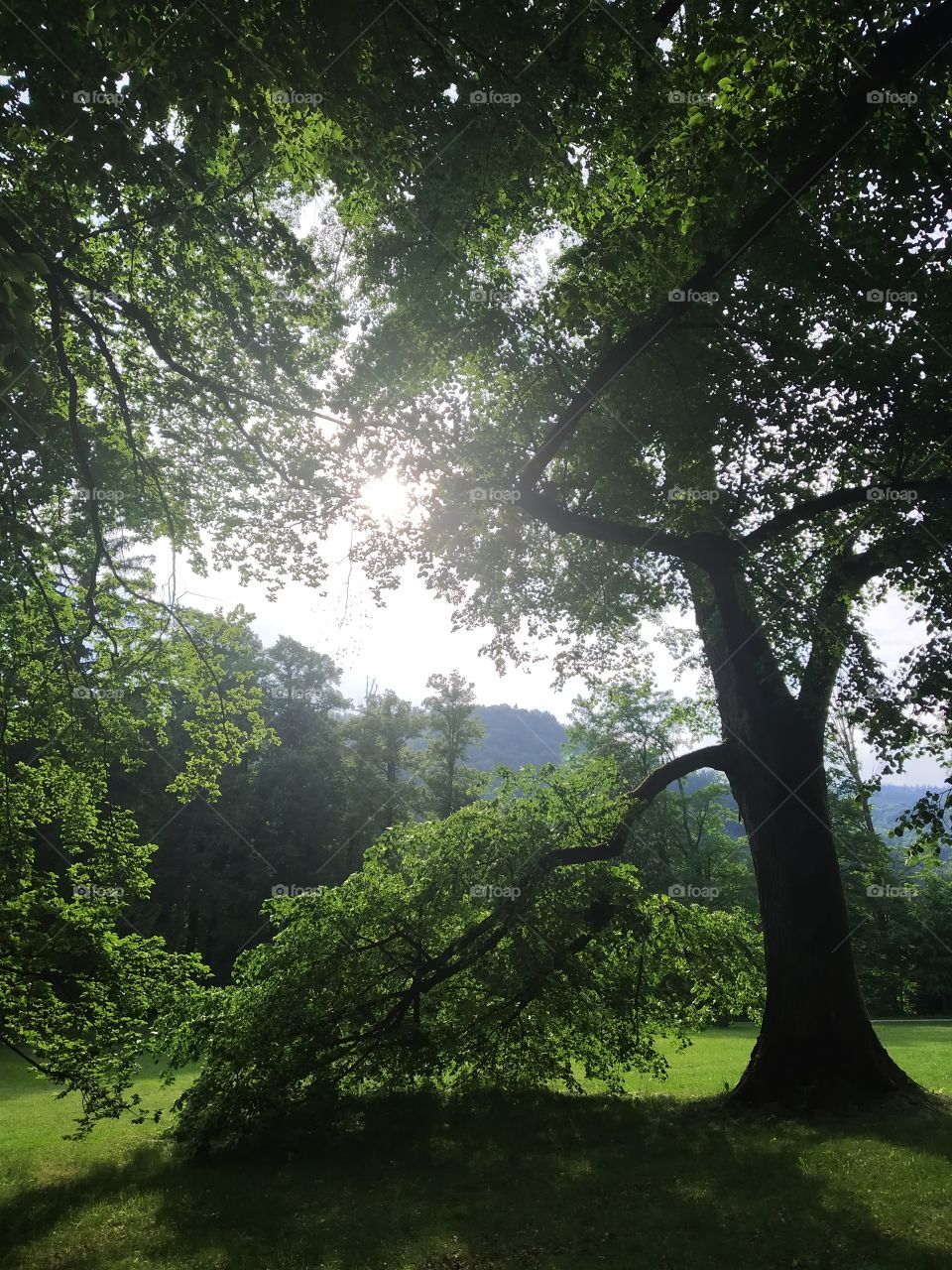 imperfect perfection