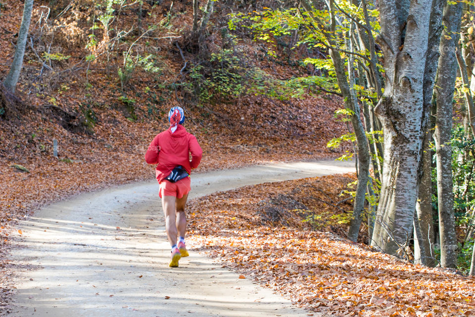 Man Runner Running Jogging In The Forest