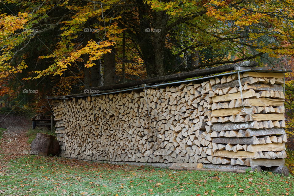 Réserves de bois pour l'hiver 