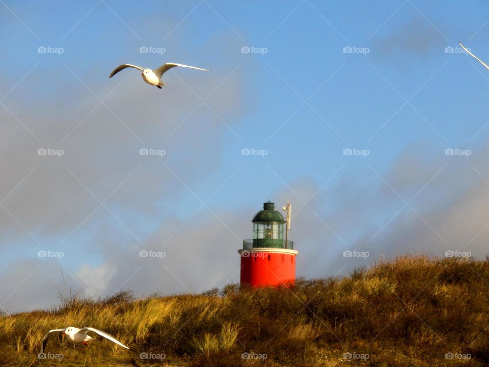 seaside landscape