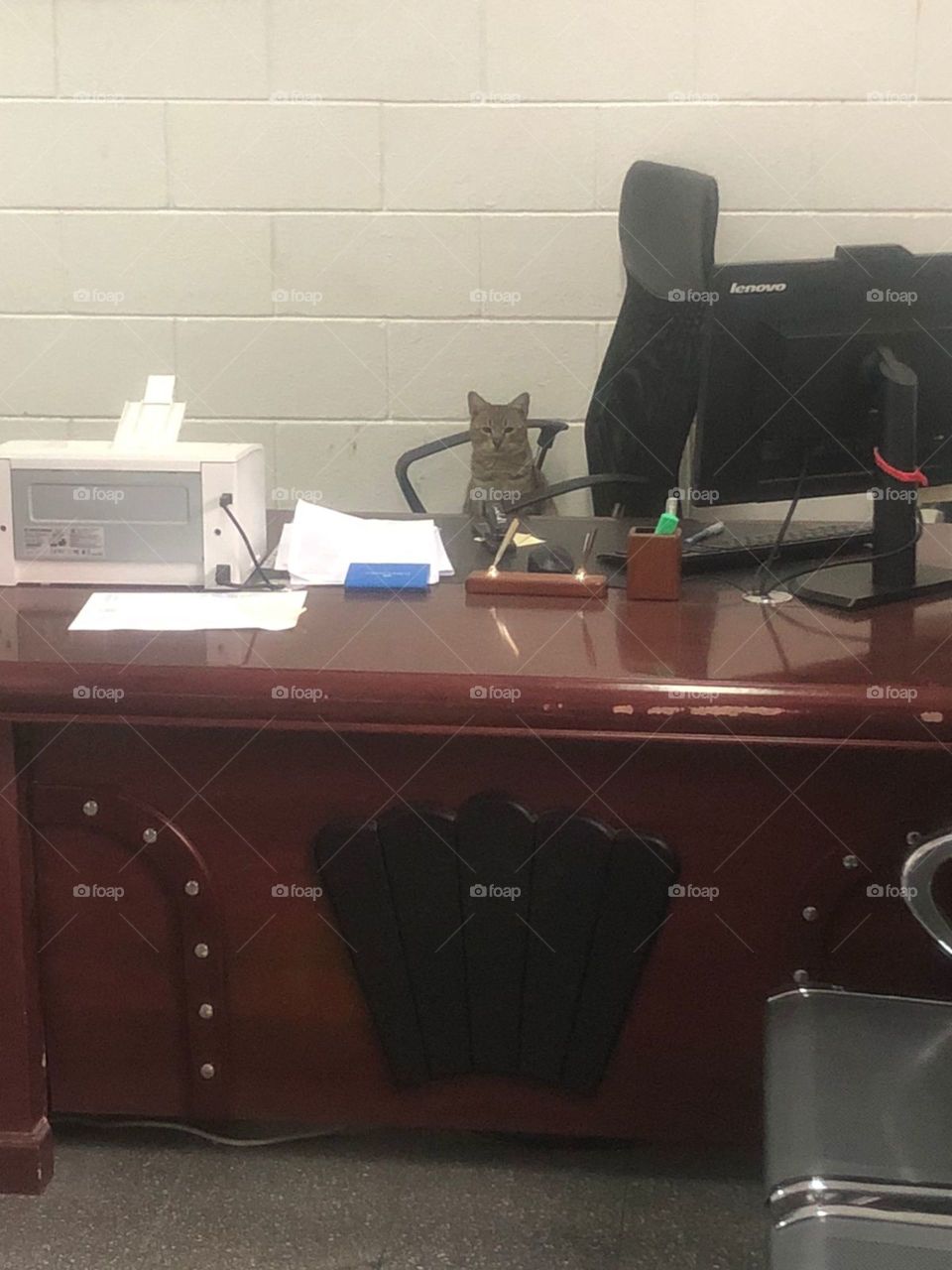 I am poor. I want your support. Stop it