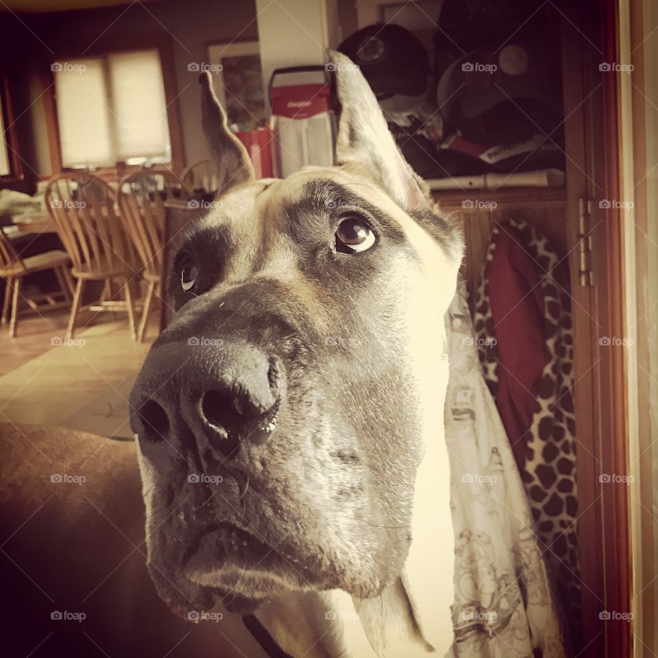 Whatcha mean I can't go out?