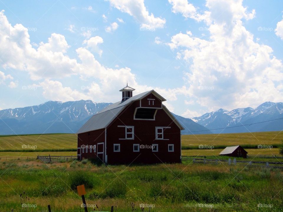 Barn in the wild