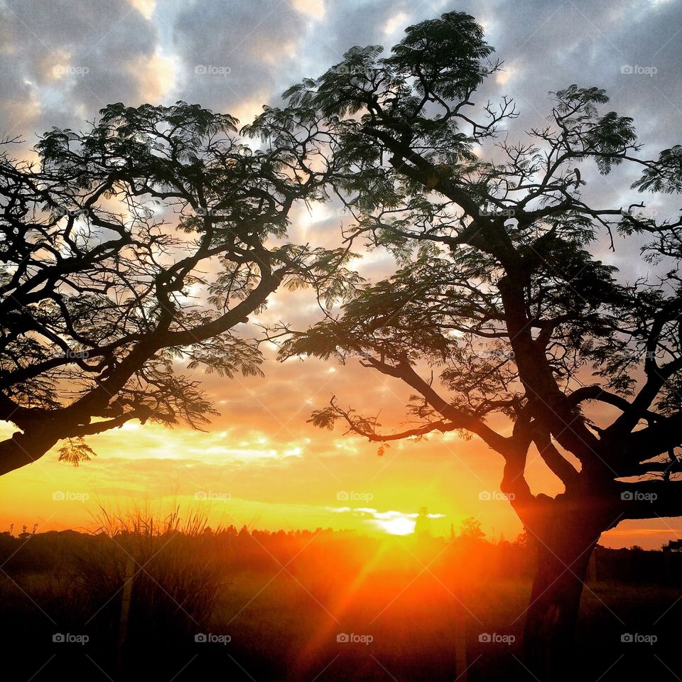 🌅Desperta, #Jundiaí!
Ótima 3a feira para todos.
🍃
#sol
#sun
#sky
#céu
#photo
#nature
#manhã
#morning
#alvorada
#natureza
#horizonte
#fotografia
#paisagem
#inspiração
#amanhecer
#mobgraphy
#FotografeiEmJundiaí