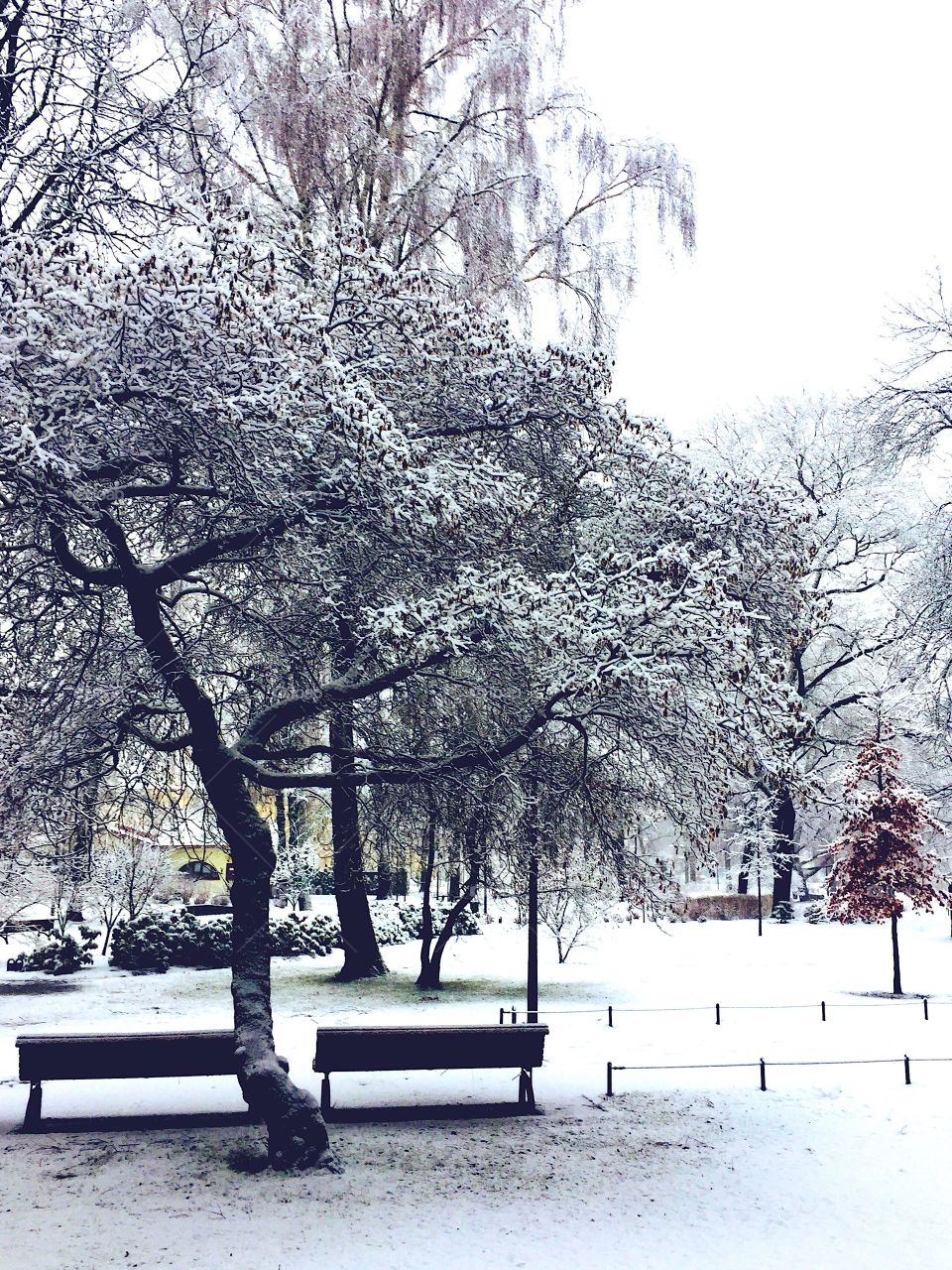 Wintertime in Bernardinai Gardens in Vilnius, Lithuania