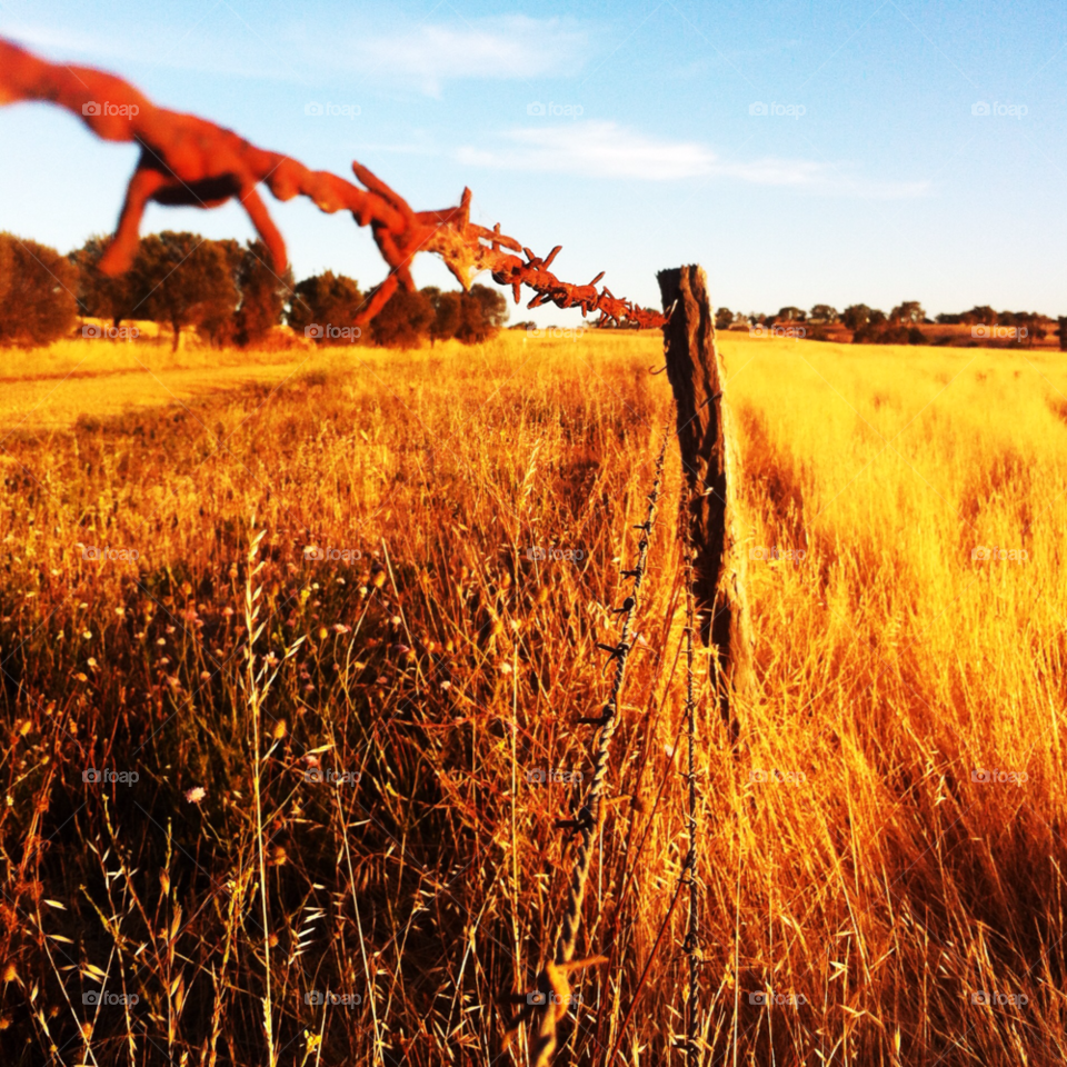 fence post farm rural by blinklight