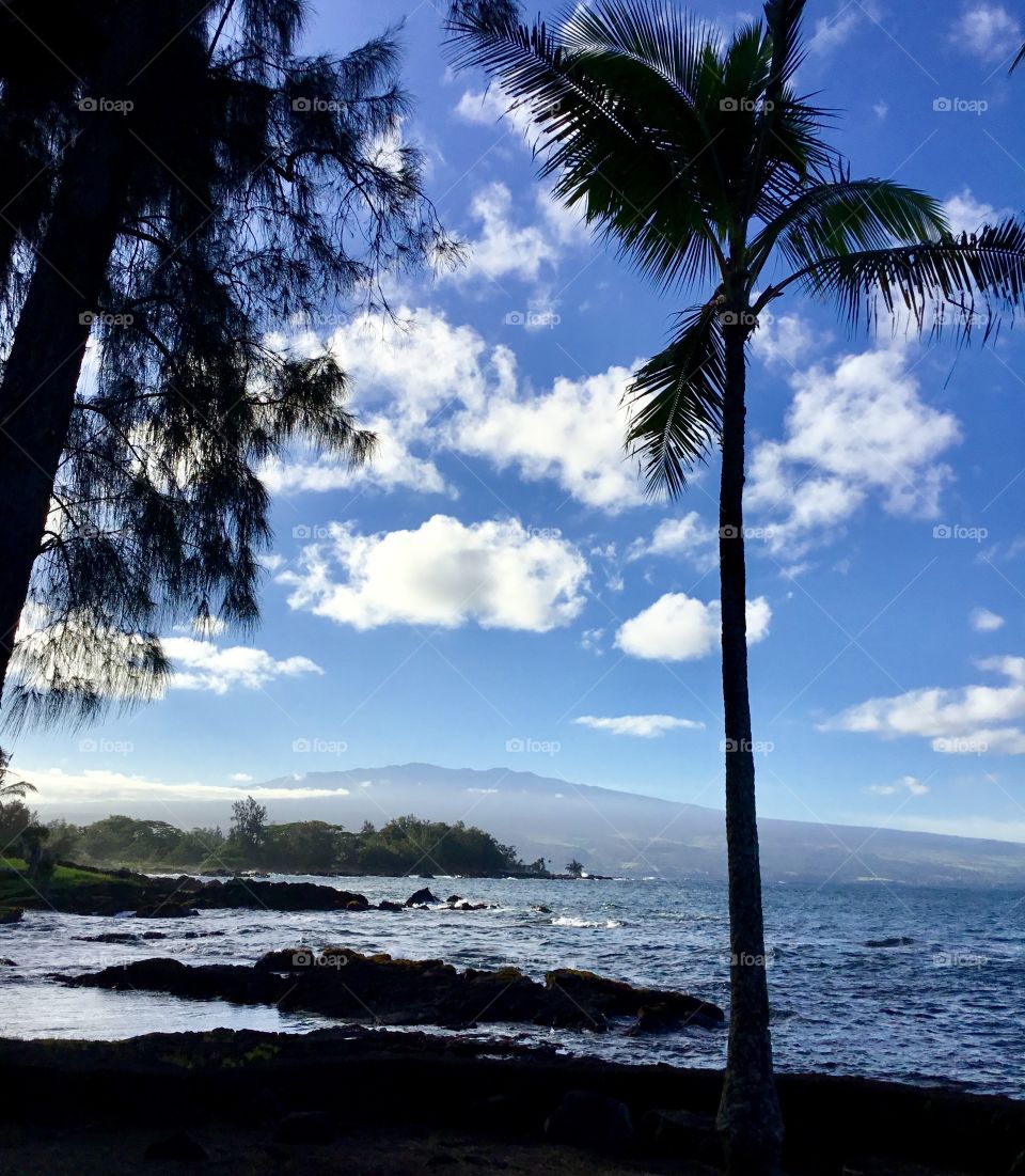 Volcano in the distance from a Hilo beach park