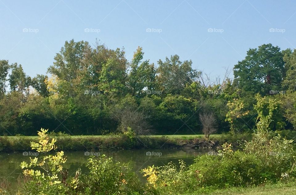 Autumn approaches 
Erie Canal 