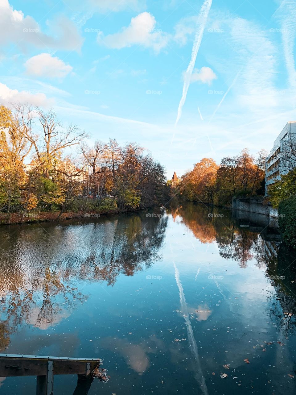 Autumn landscape 