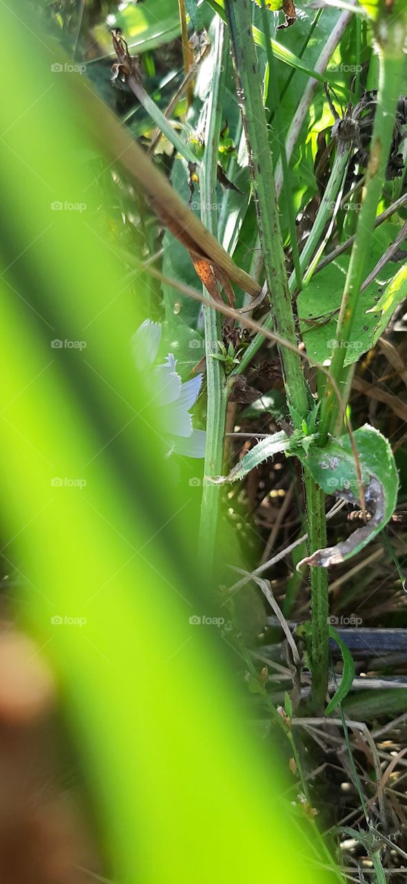 Солнечный   день