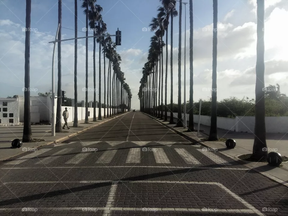 Street