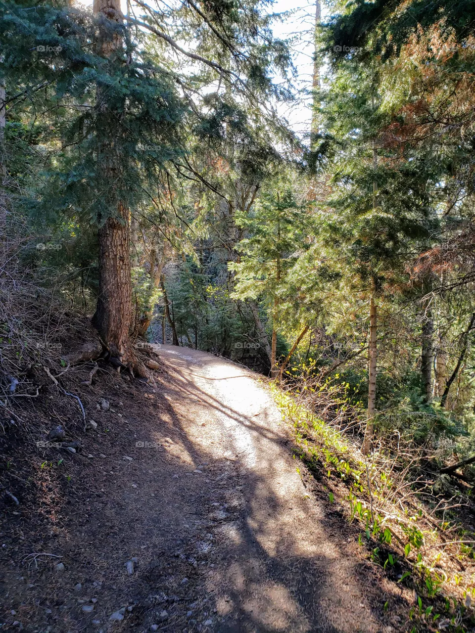 trail
