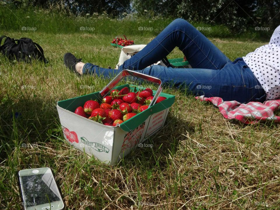 relax and picnic. relax after work