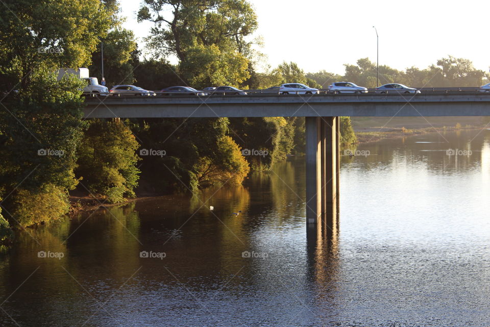 Water, No Person, Tree, Lake, River