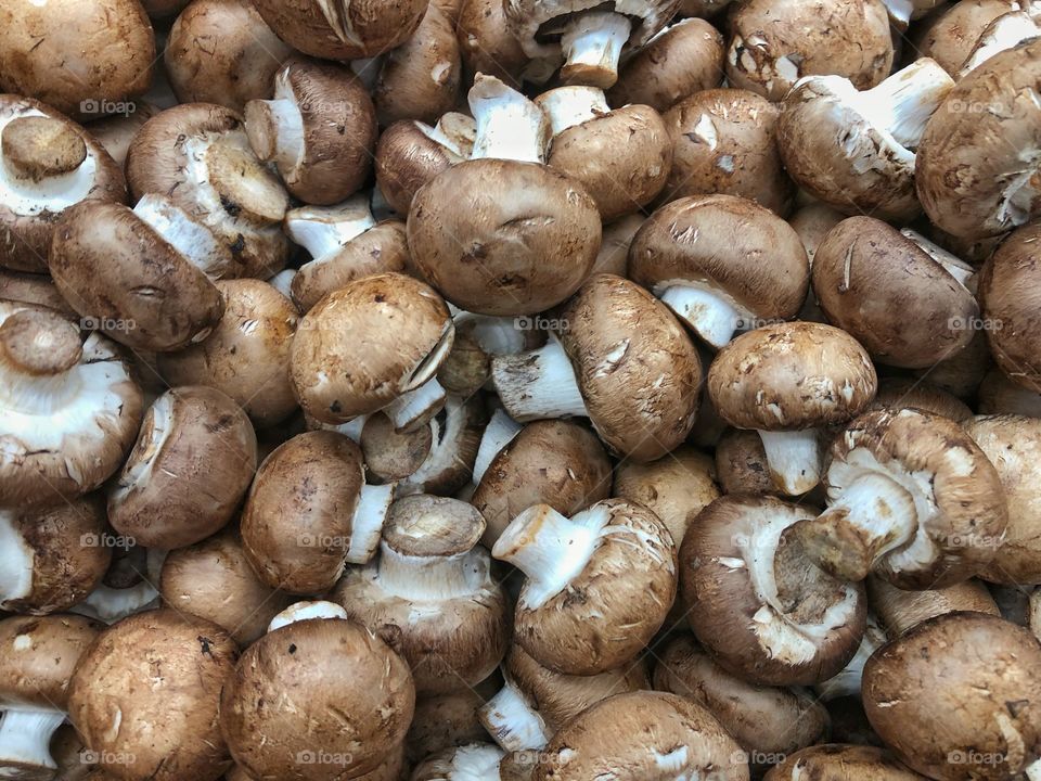 Fresh Mushrooms For Cooking