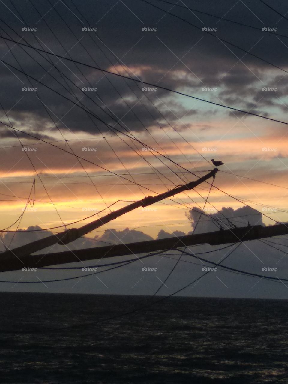 Trabucco in Peschici