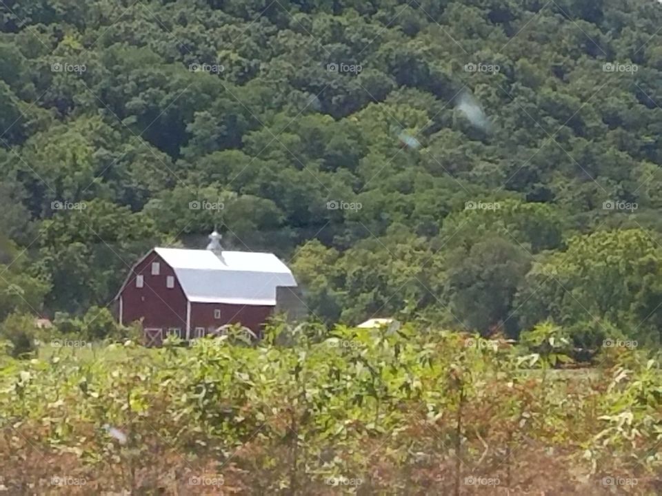 Driving the Back Roads and enjoying everything around us