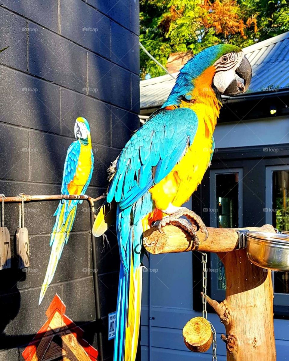 seeing double 👀👀