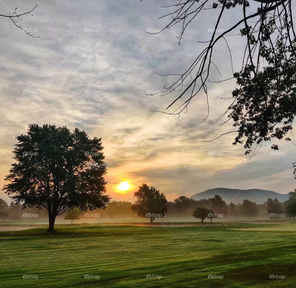 At dawn..
