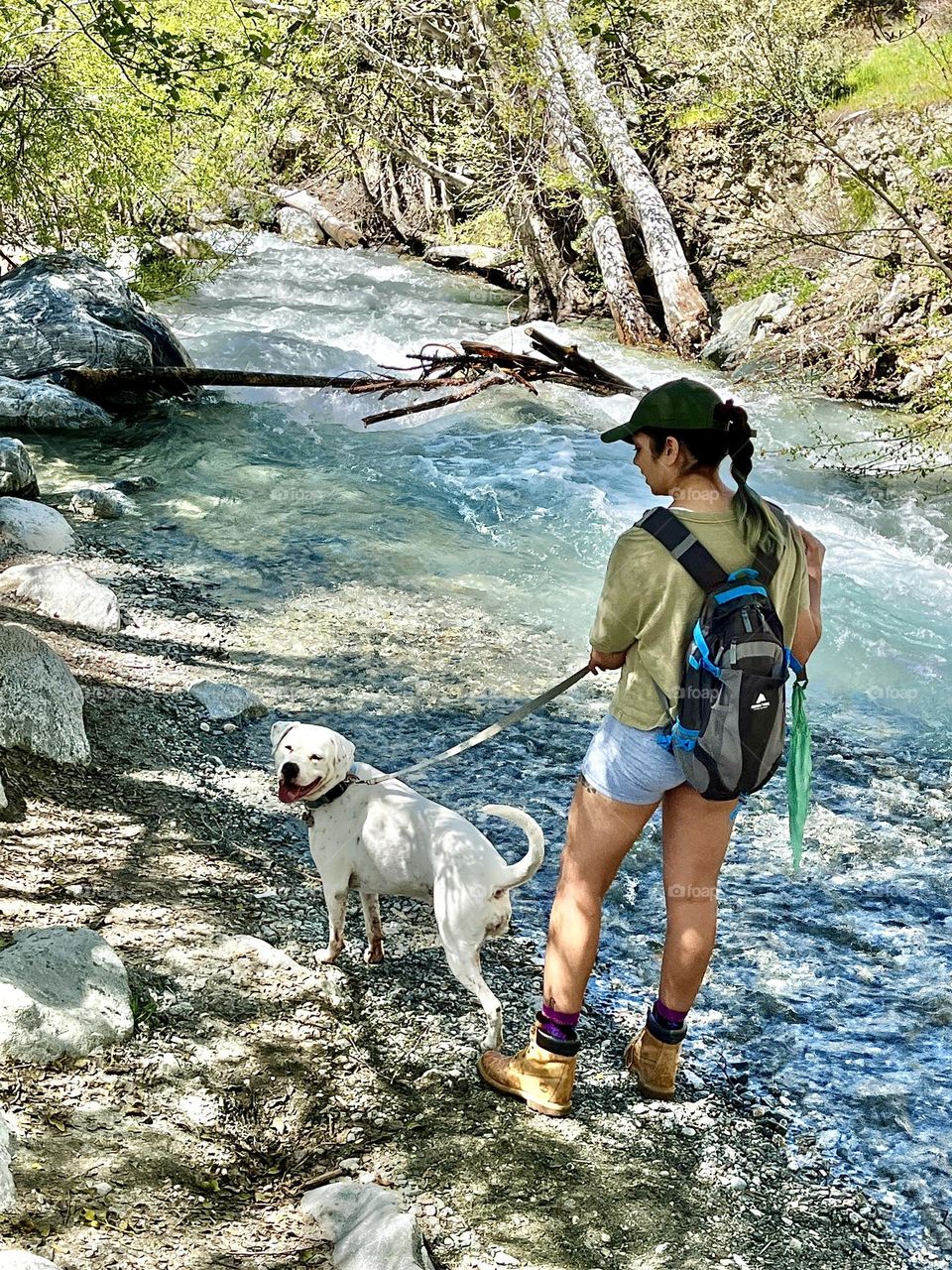 Dog Walking by River
