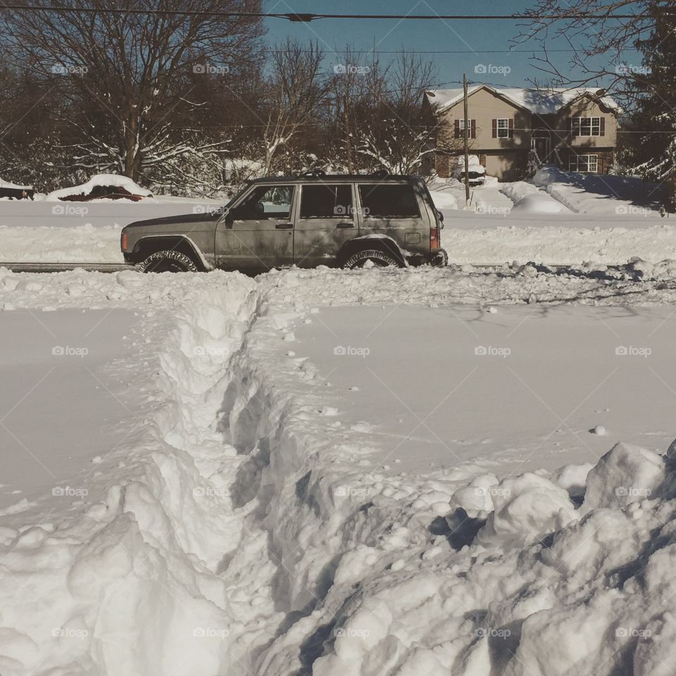 Winter, Snow, Cold, Weather, Frozen