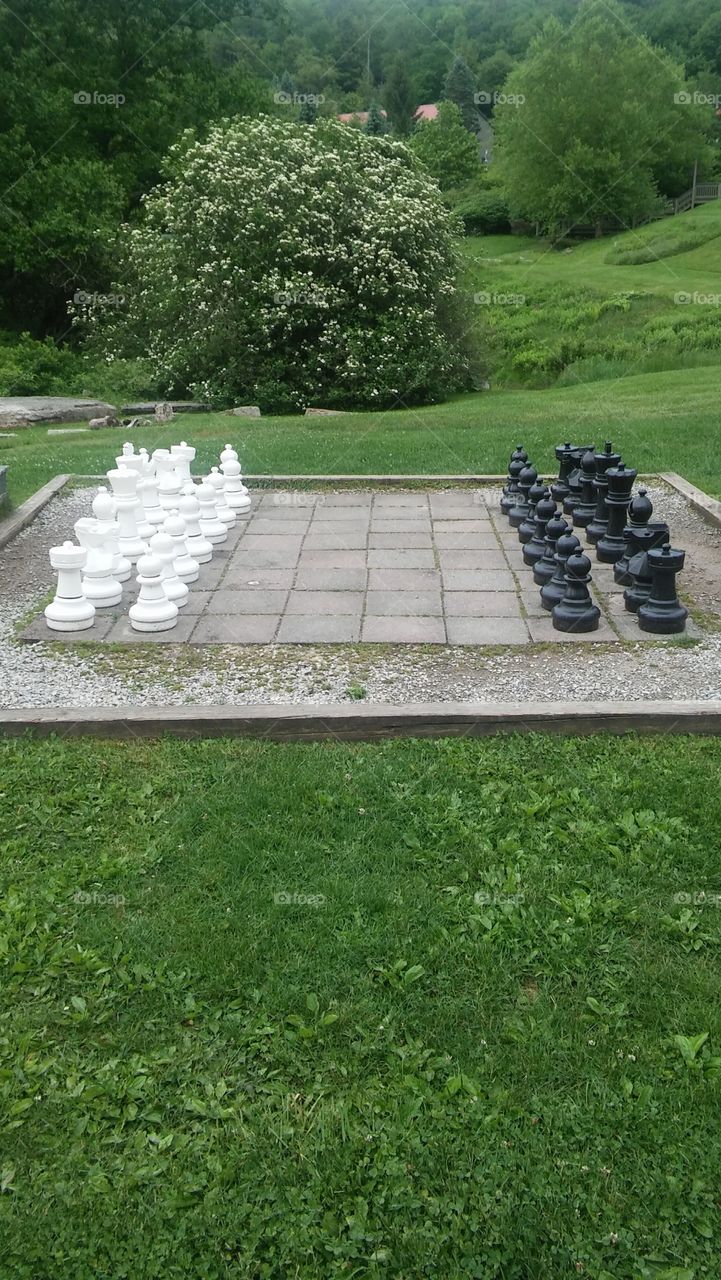 giant chess game located on Smith mountain lake in virginia