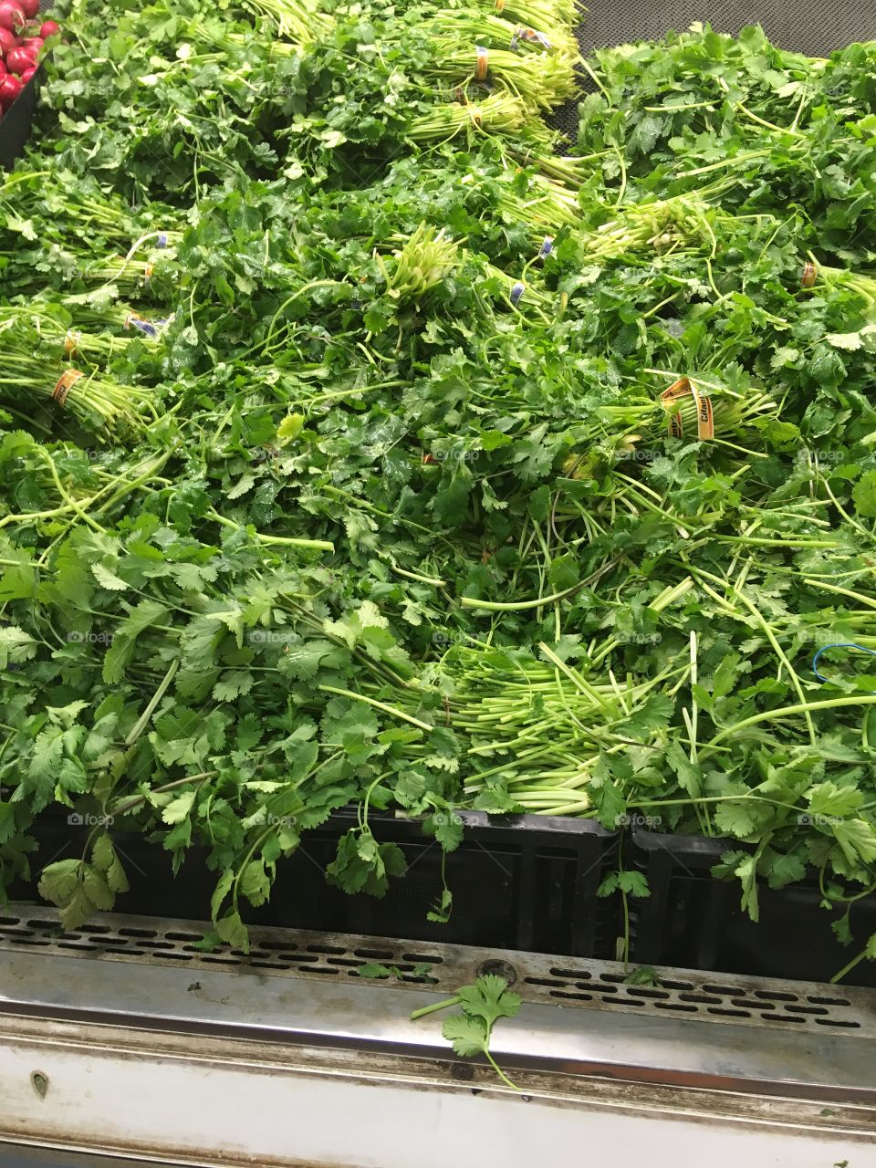 Vegetables and herbs on display 