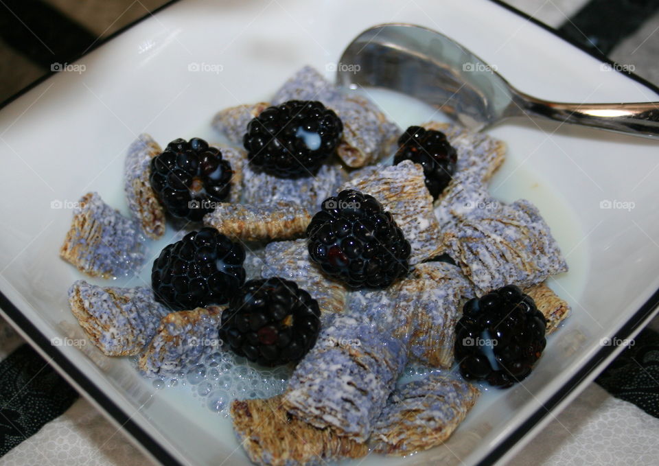 Blueberry Shredded Wheat 