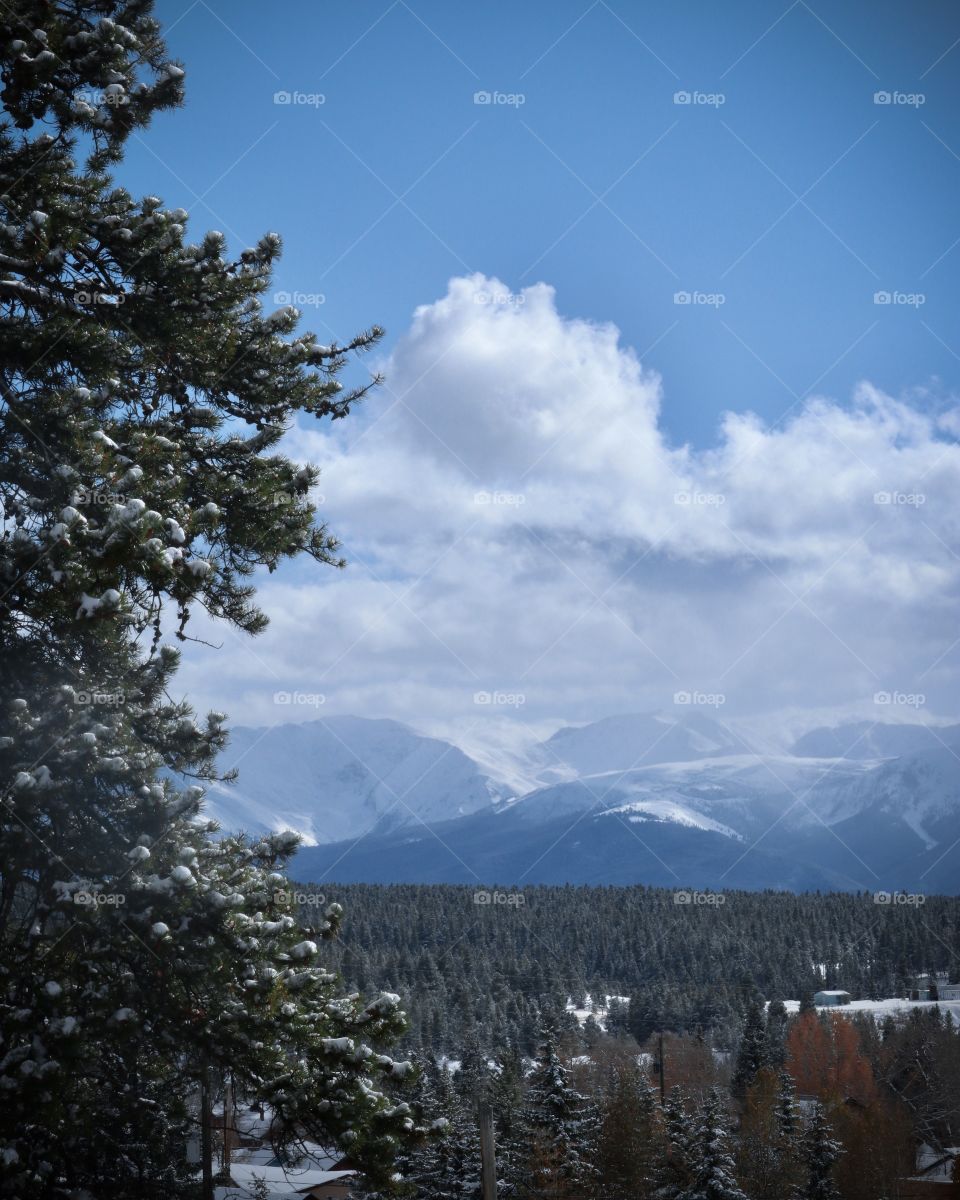 Clouds rolling by over the forested valley in the mountains.