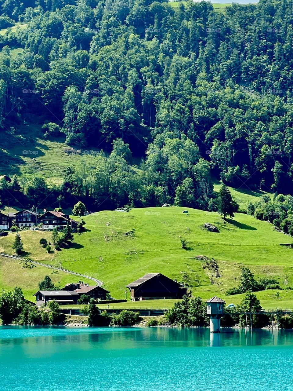 Lake View on the Countryside