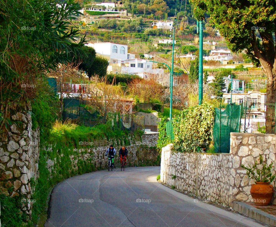 Two cyclists making their way uphill on a narrow road on the island of Capri with buildings sprawling beyond