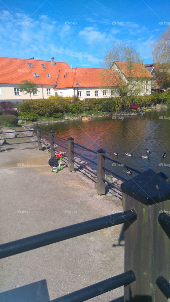 Ankedammen. Пруд в центре города.