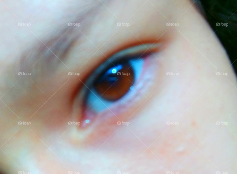 olhos castanhos