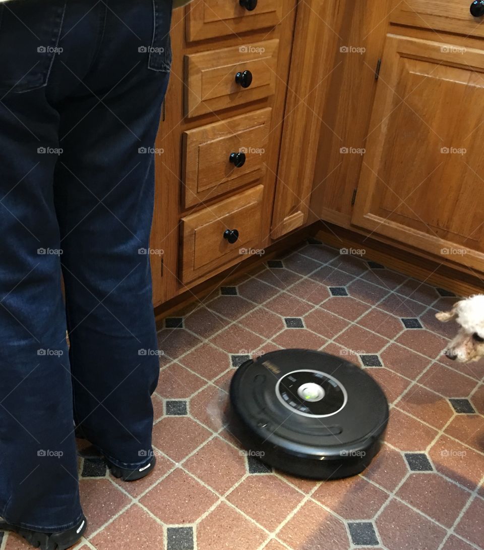 Robo Vacuums Floor As Person Washes Dishes
