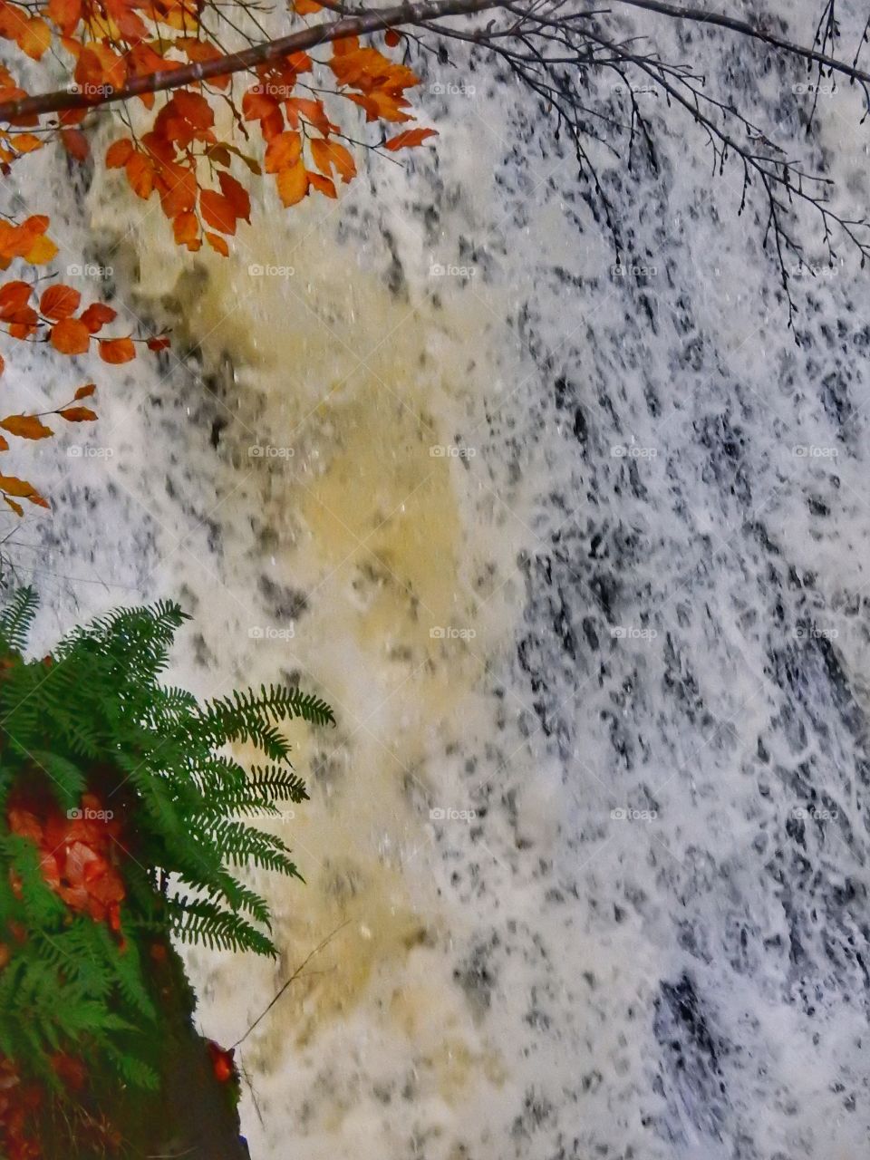 Cascade in fall