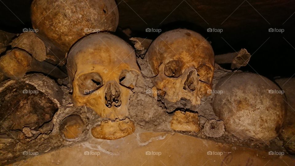 Couple of skulls