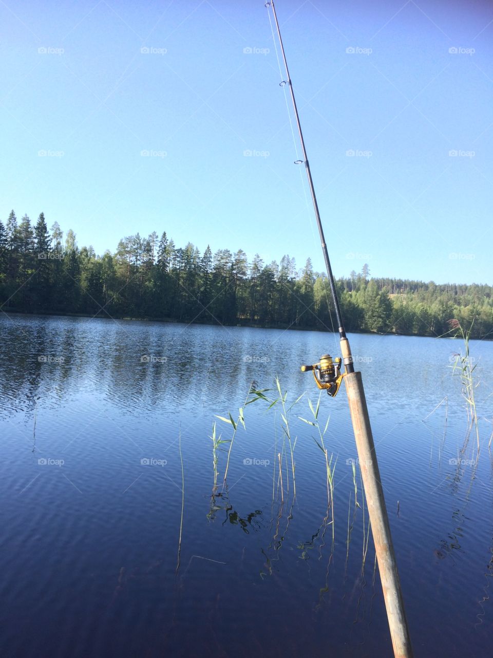 Fishingday