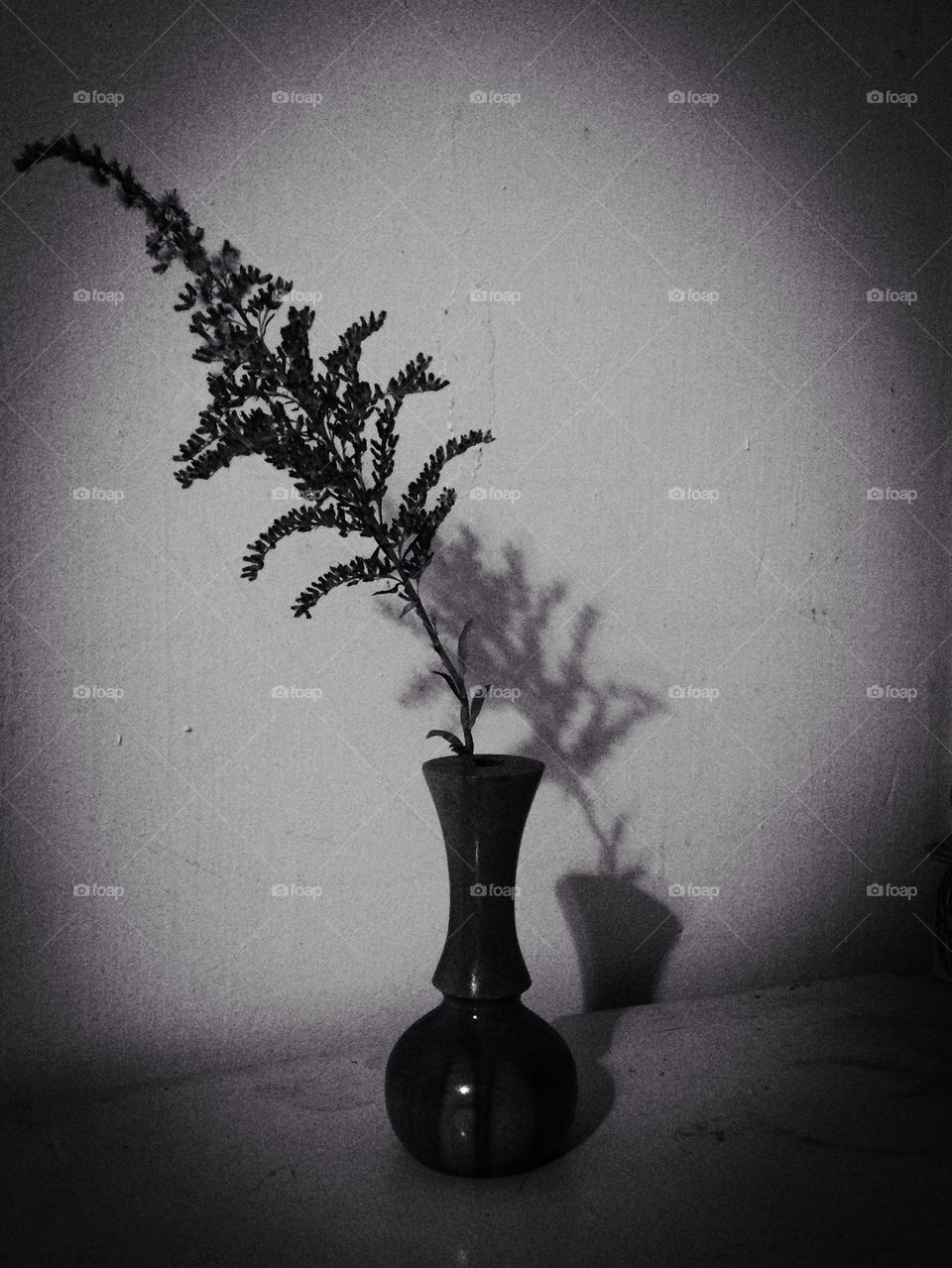 Decayed weeds on display 