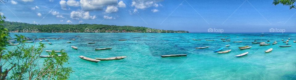 Seaweed Farm