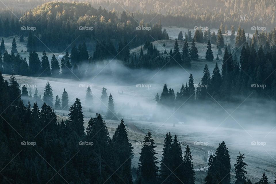 Beatiful autumn morning, with crisp air and fog in the mountains.