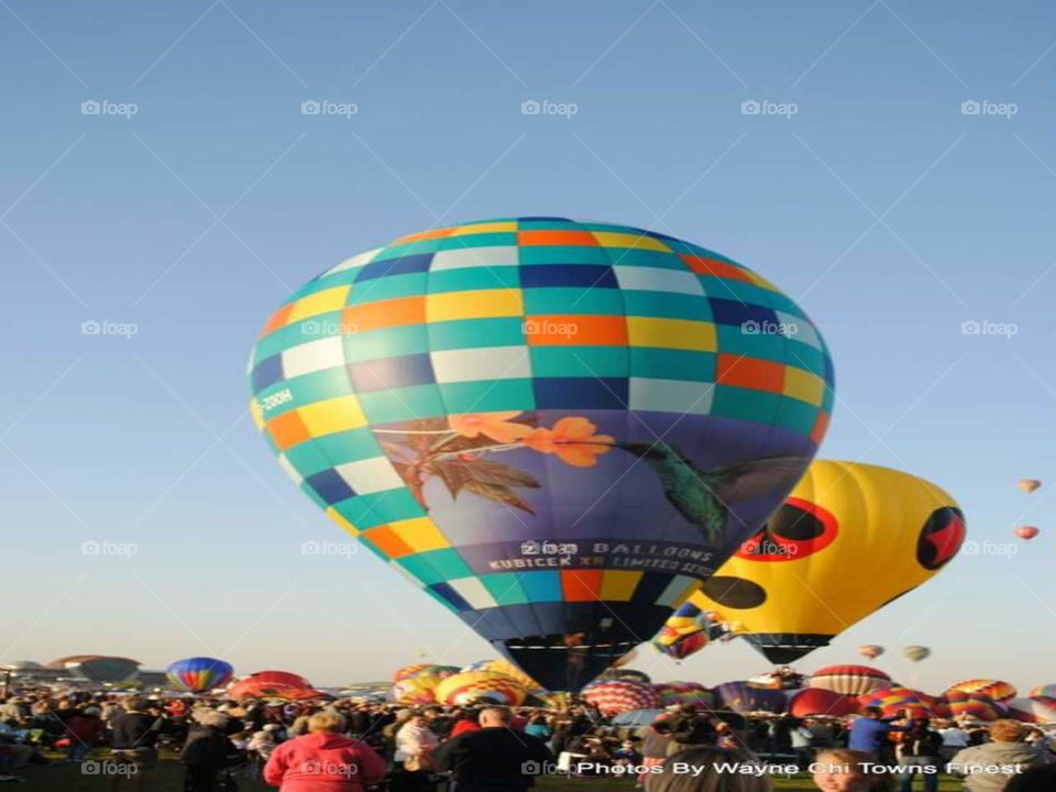 humming bird. Balloon fiesta