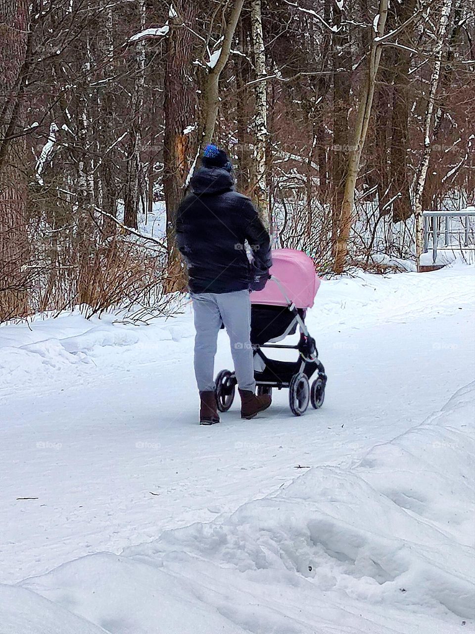Life in motion. A snowy path along which a young woman with a pram is walking. Around the trees in the snow. Tempering the child. Rest and health.