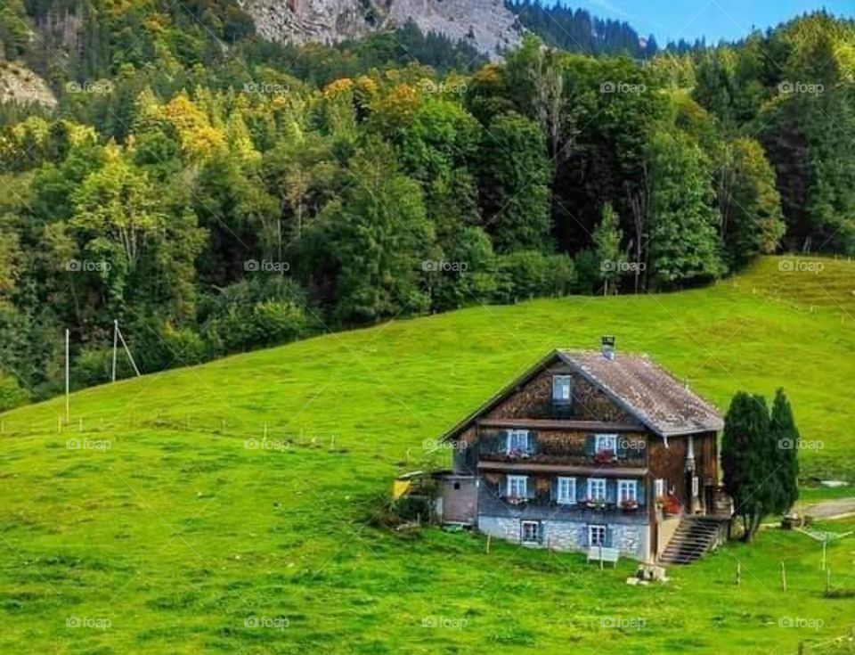 Switzerland