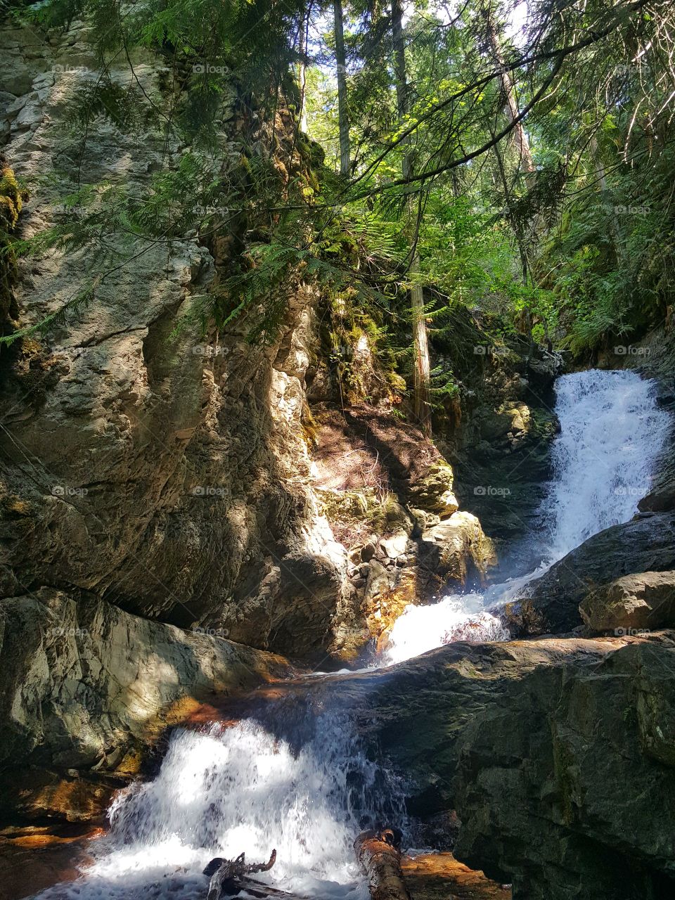 Flow Like A WaterFall.
Never Looking Back. 🌊
Flood Your Own Space 
With Your Own Spirit.