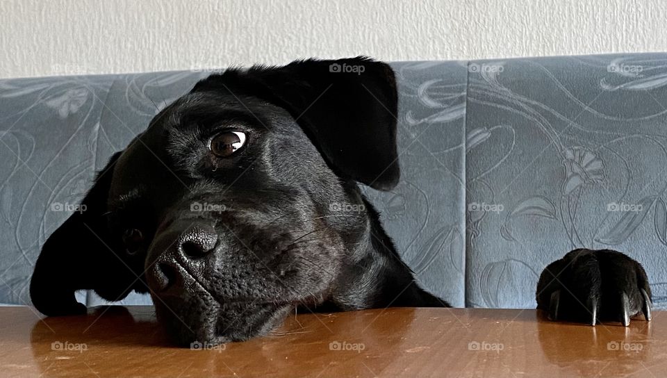 Ich möchte auch Abendbrot haben..Bitte