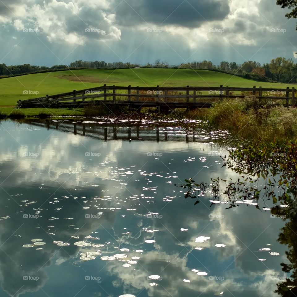 The whole big picture