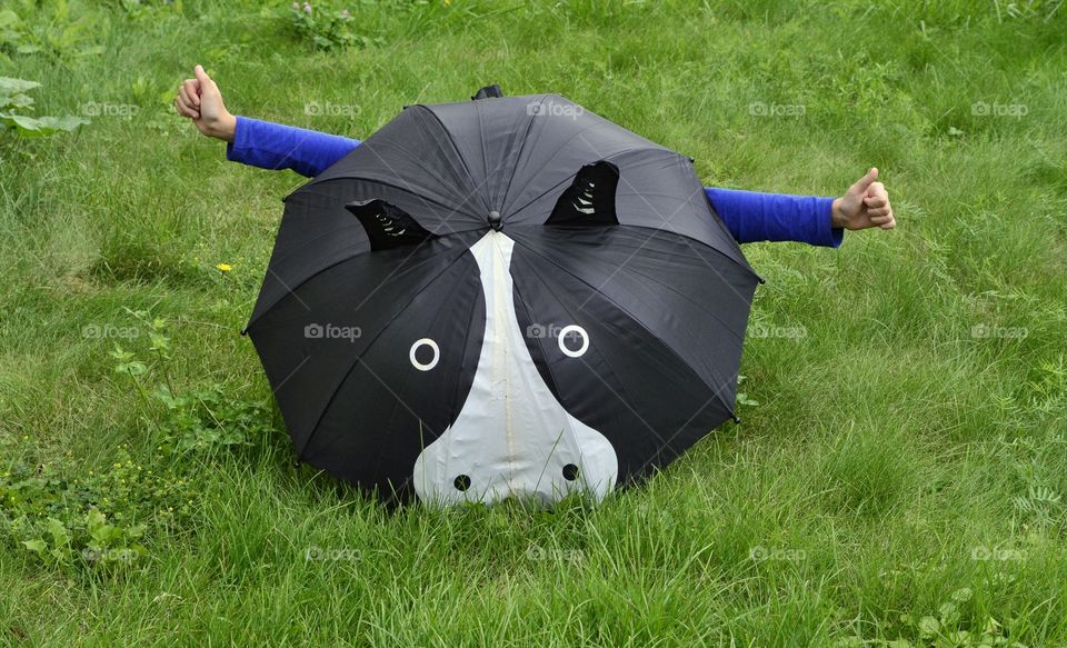 Umbrella.
